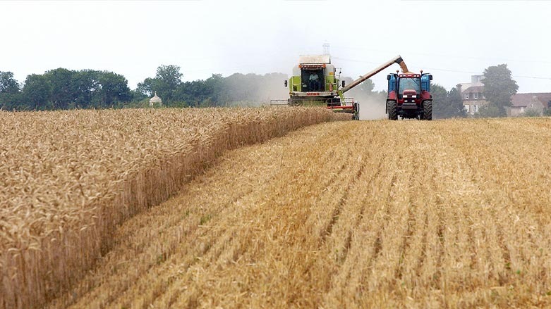 روسيا تعلق مشاركتها في صفقة الحبوب لأجل غير مسمى